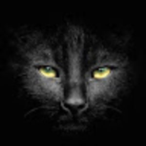 Meet your Posher, Lada